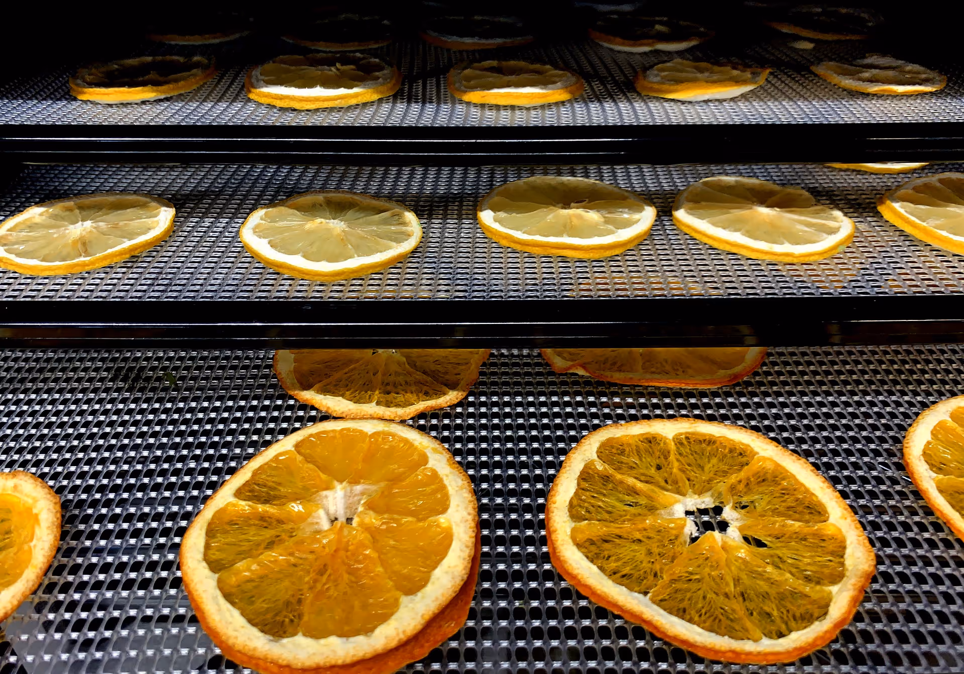 Orange slices dehydrating